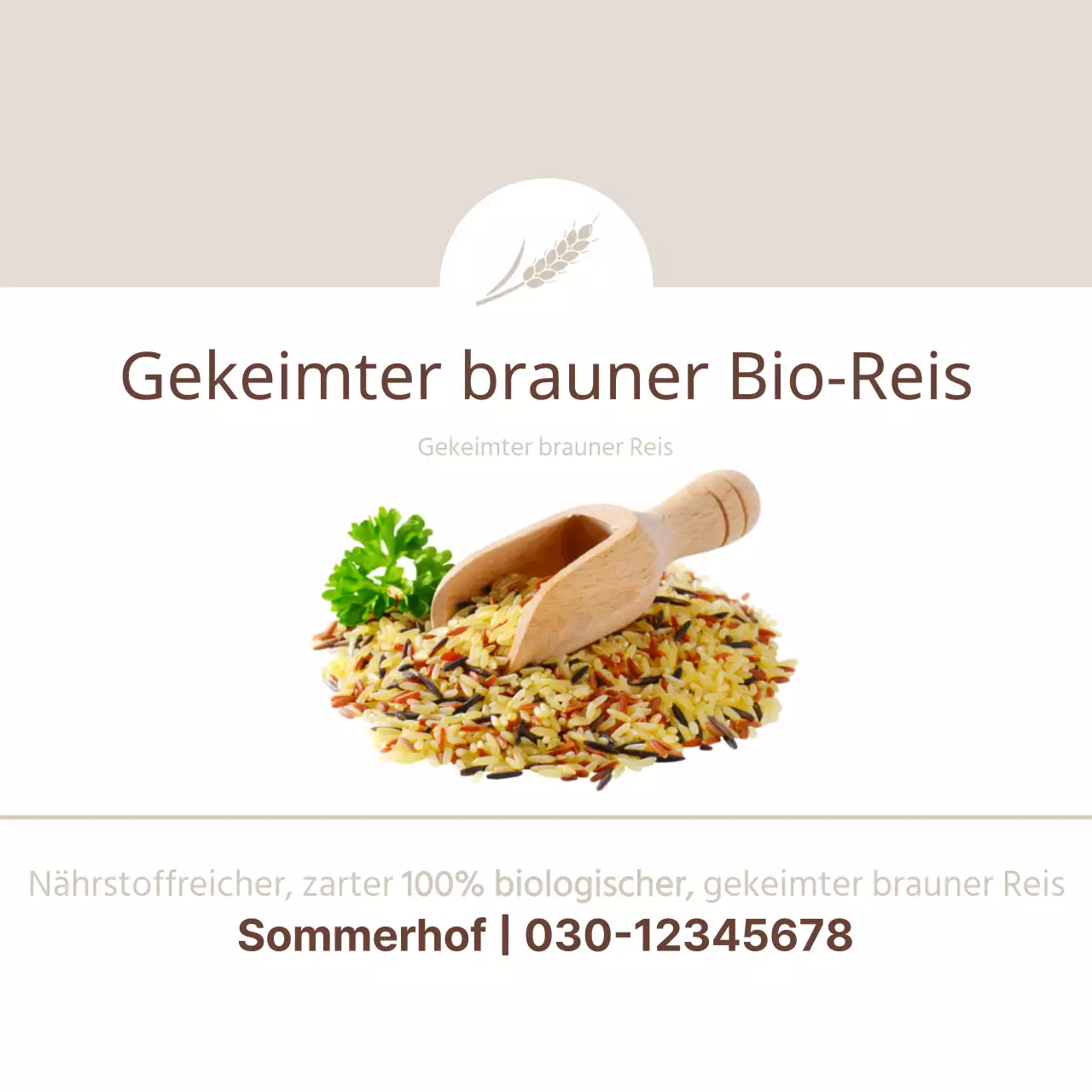 Gekeimter brauner Reis