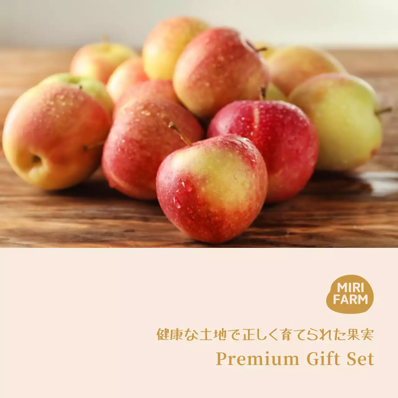 シンプルなイメージのリンゴステッカー