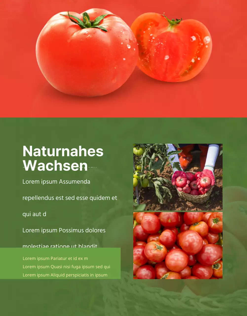 Landwirtschaftliche Erzeugnisse