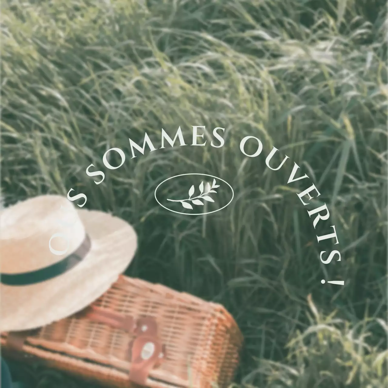 Green's Picnic Concept Photo Layout Bundle Pack