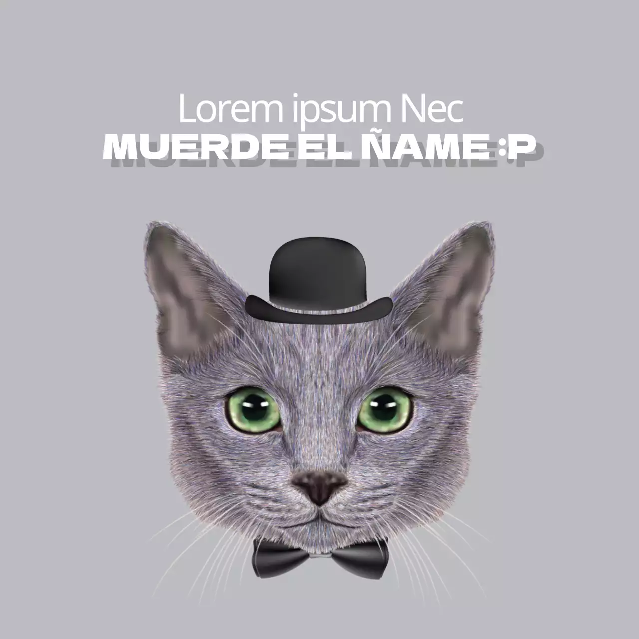 Golosinas ecológicas para perros