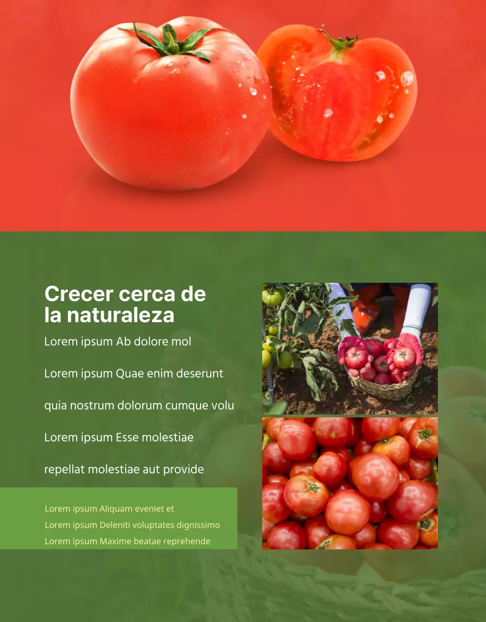 Productos agrícolas