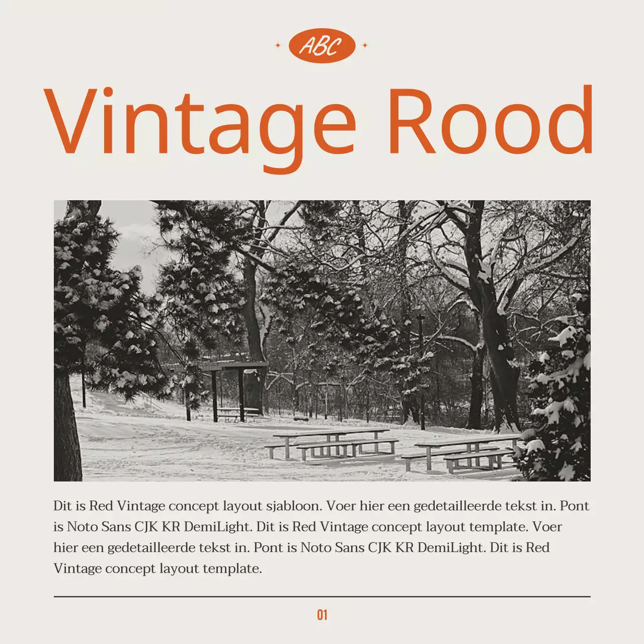 Bundel met veelkleurige, op vintage geïnspireerde lay-outs