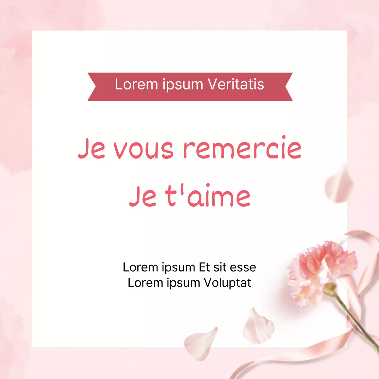 44842_Retour à la maison