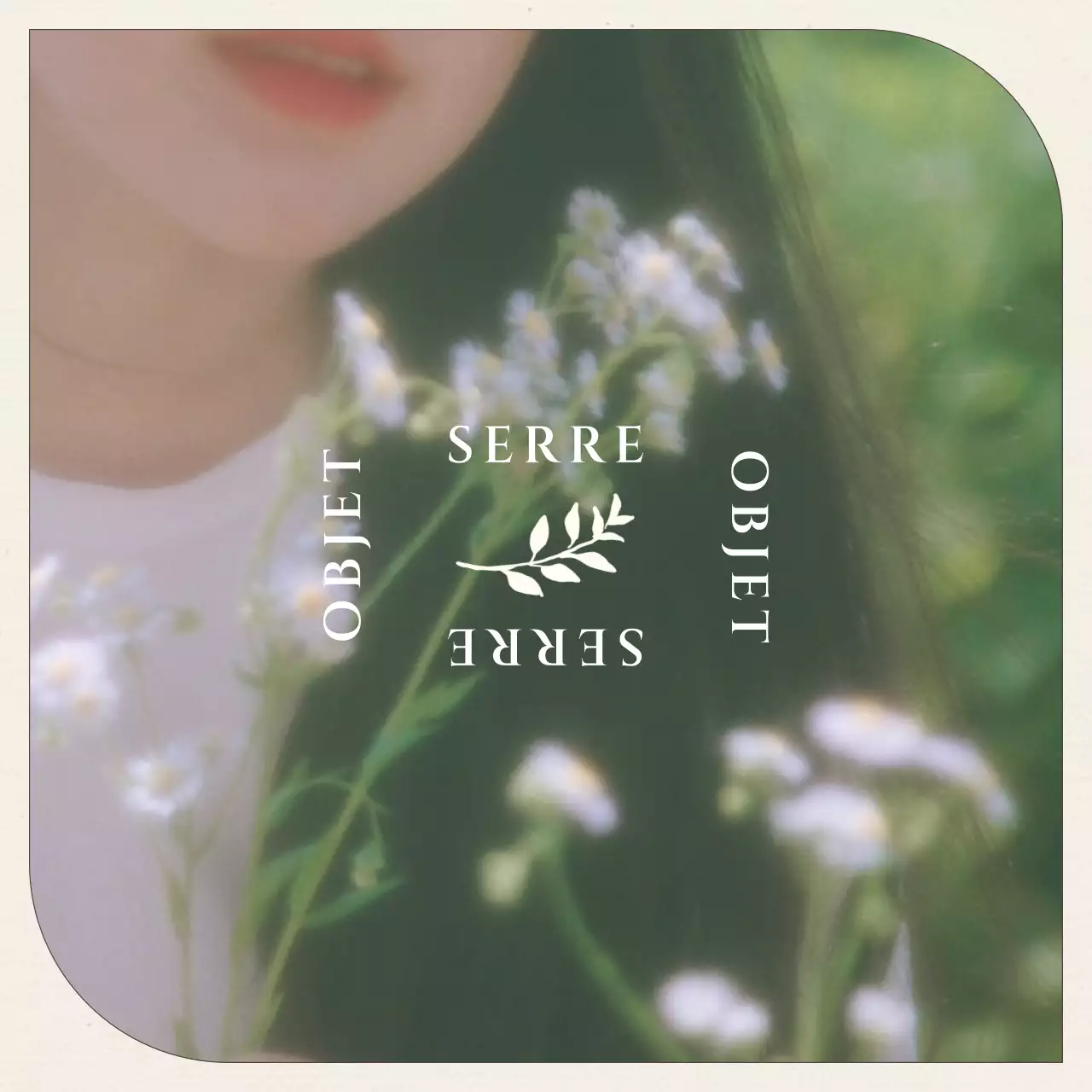 Green's Picnic Concept Photo Layout Bundle Pack