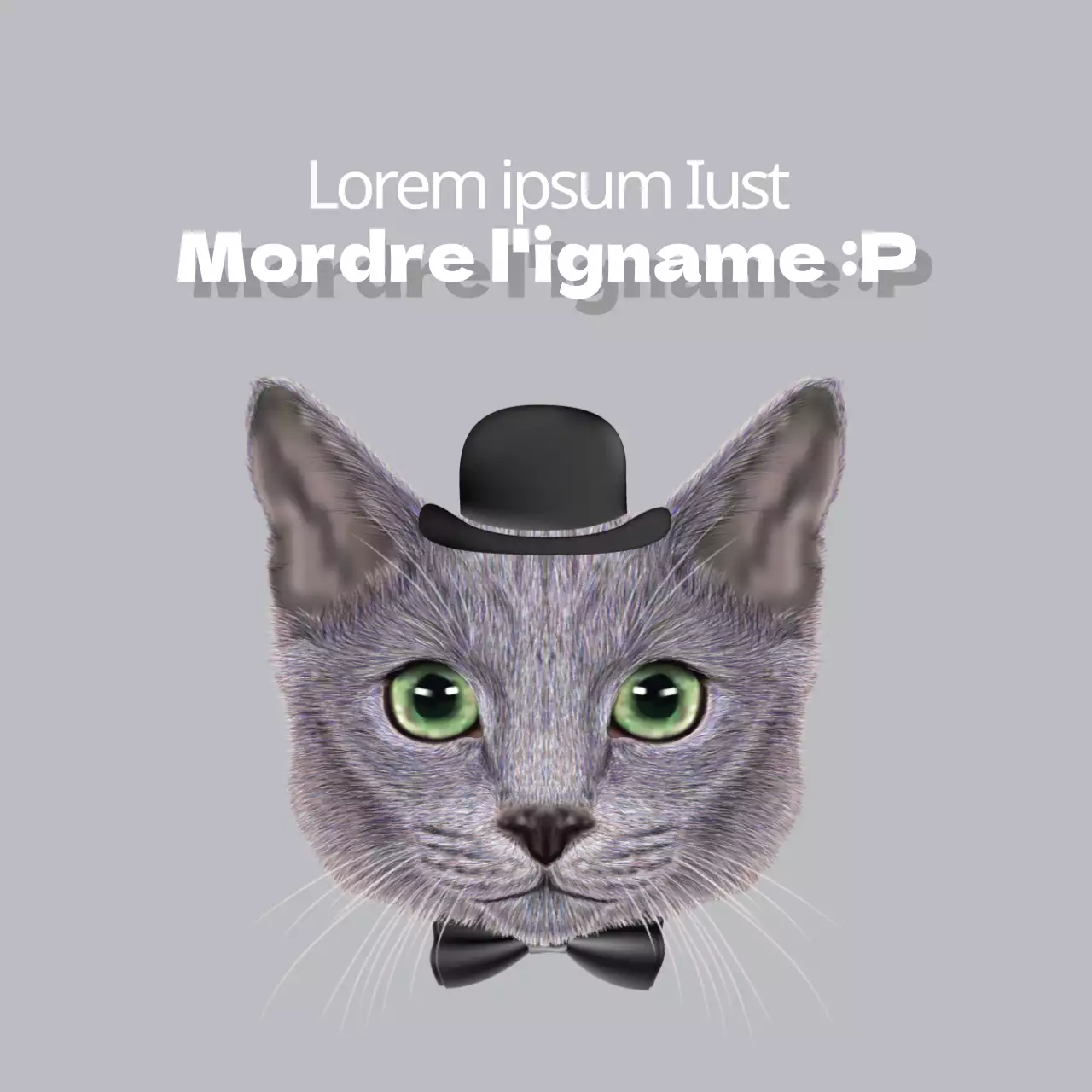 Friandises pour chiens Premium Organic