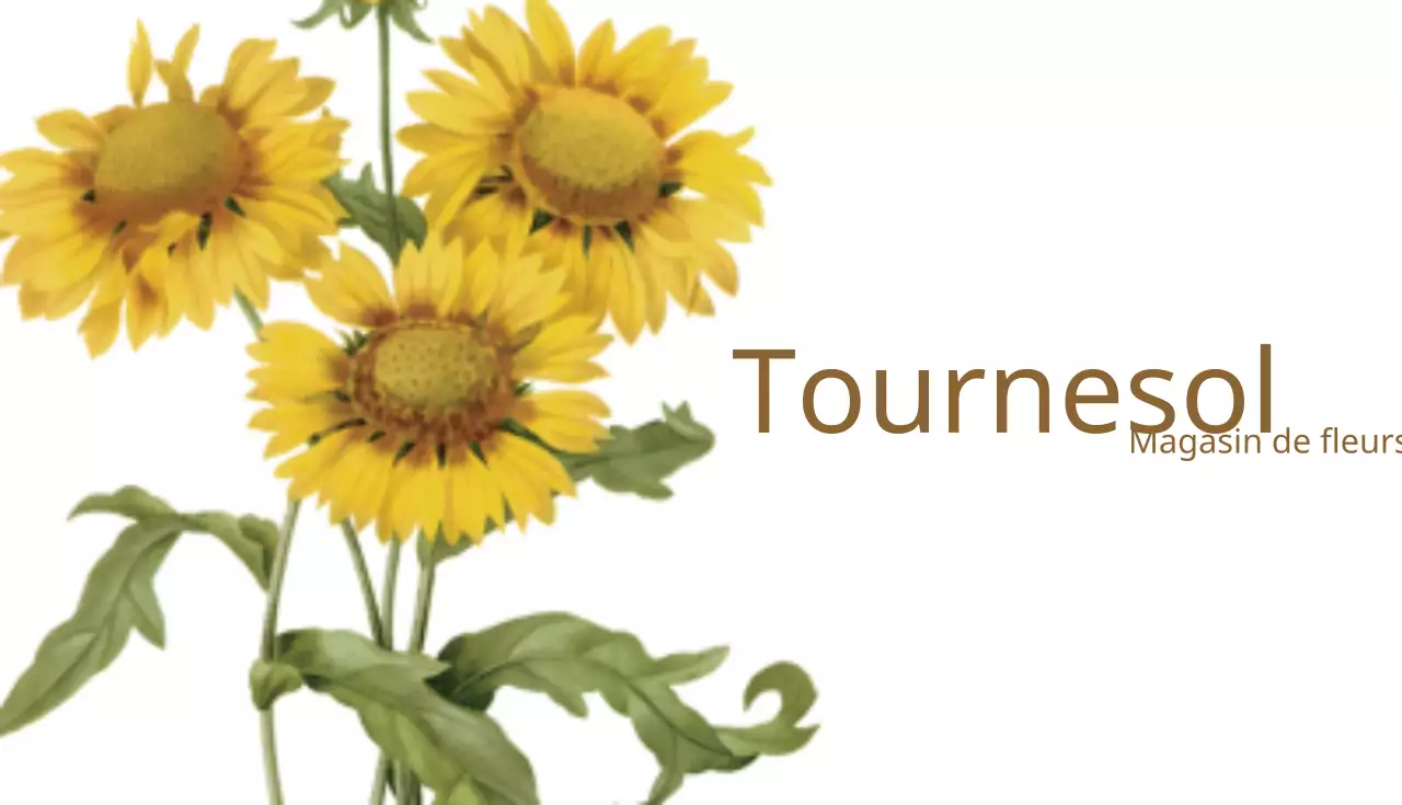 Tournesol