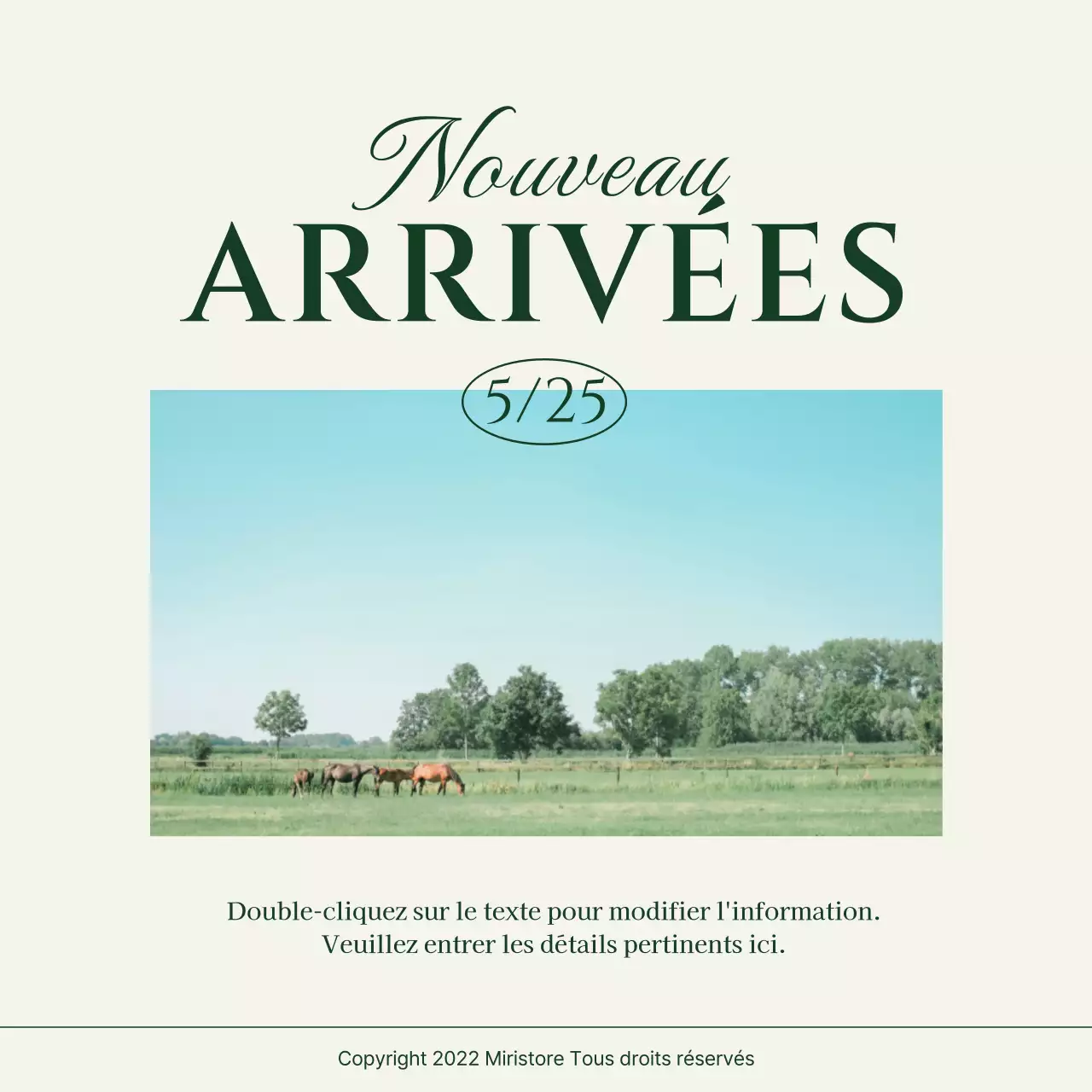 Green's Picnic Concept Photo Layout Bundle Pack