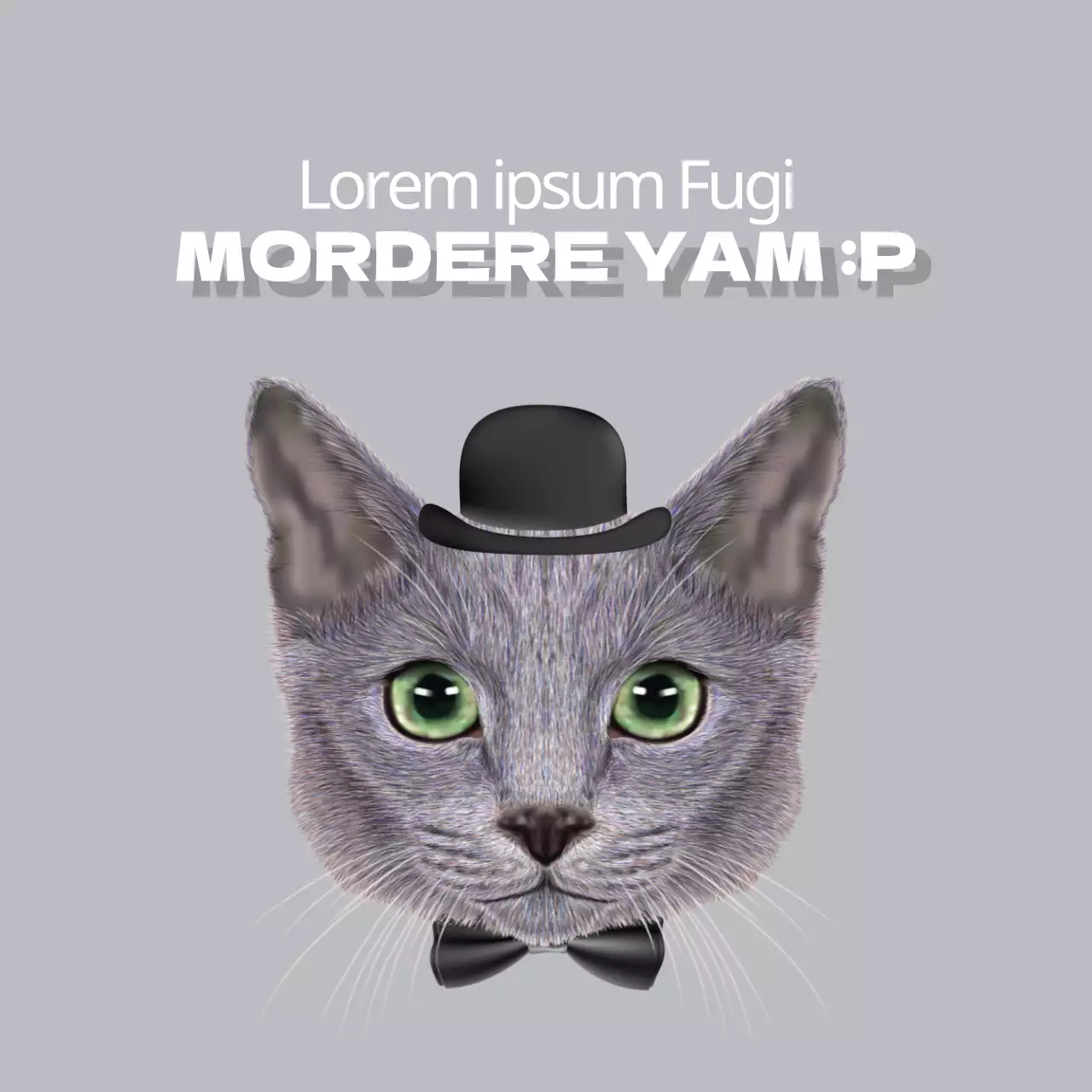 Croccantini biologici di qualità superiore per cani