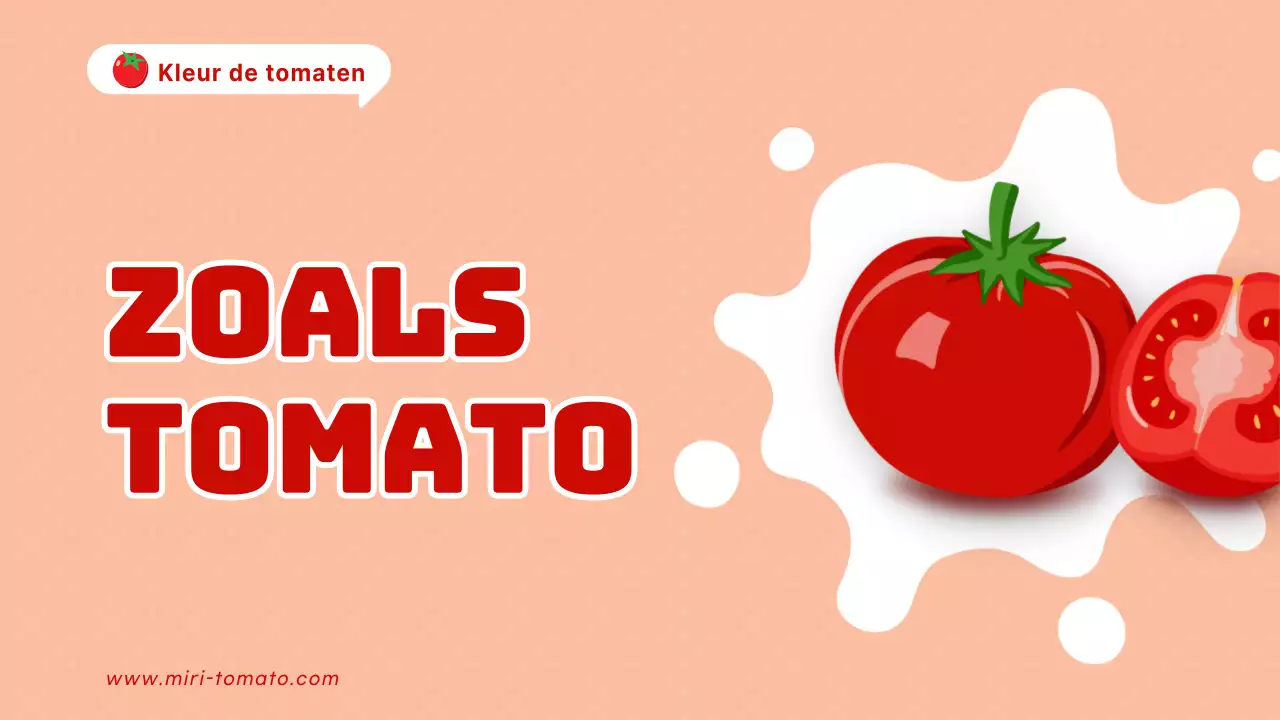 Kitscherige rode en oranje tomaten uitgelegd