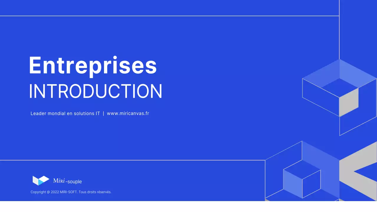 Profil de l'entreprise informatique en bleu (présentation)