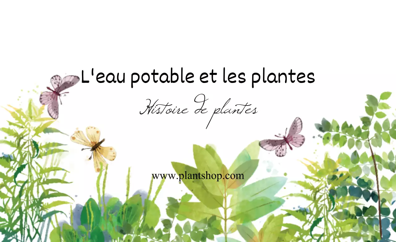Plantes