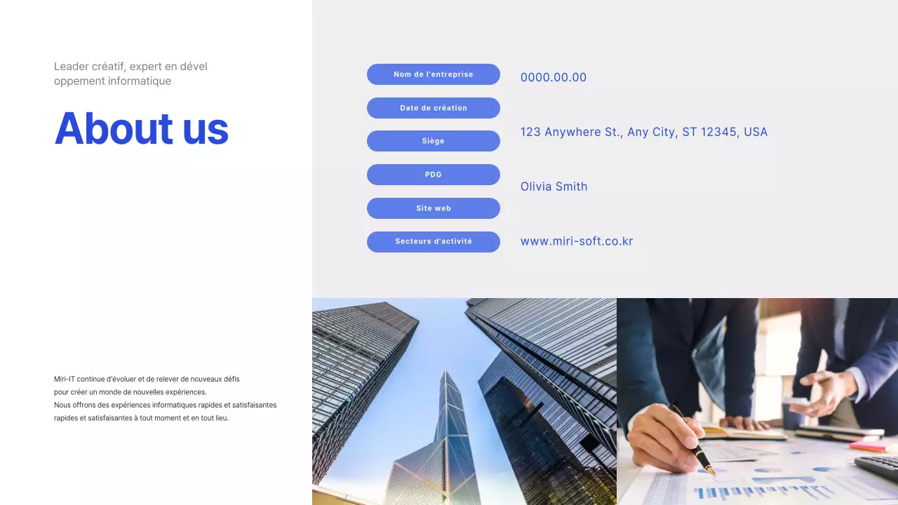 Profil de l'entreprise informatique en bleu (présentation)