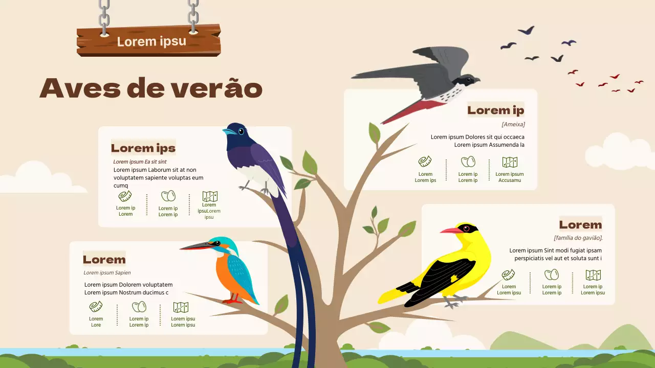 Ilustrações de aves em destaque a castanho Informações sobre aves migratórias de verão