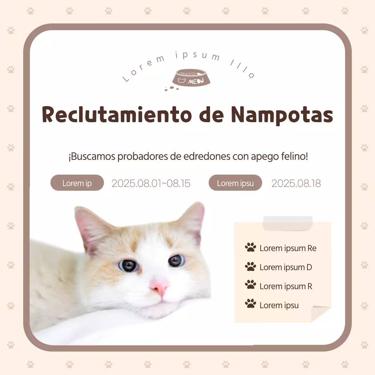 Buscamos probadores para nuestro nuevo edredón nórdico marrón y beige para gatos