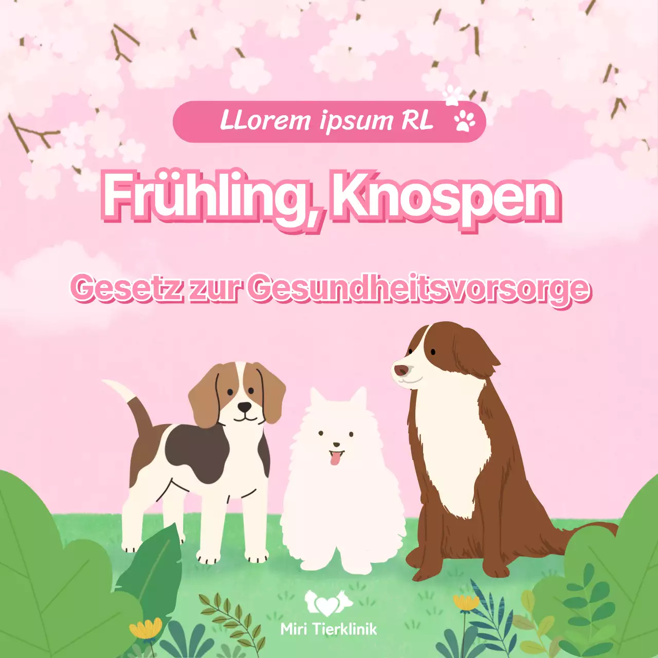 Ein niedlicher Welpe mit einem frühlingshaften Hintergrund und Gesundheitstipps CardNews