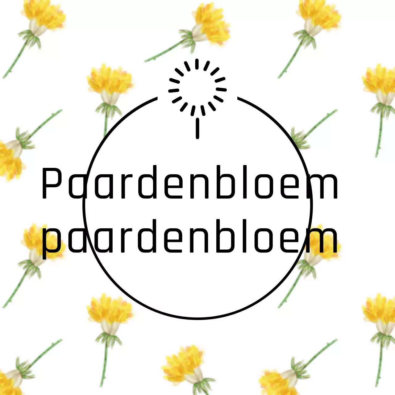 Paardenbloem Lelie