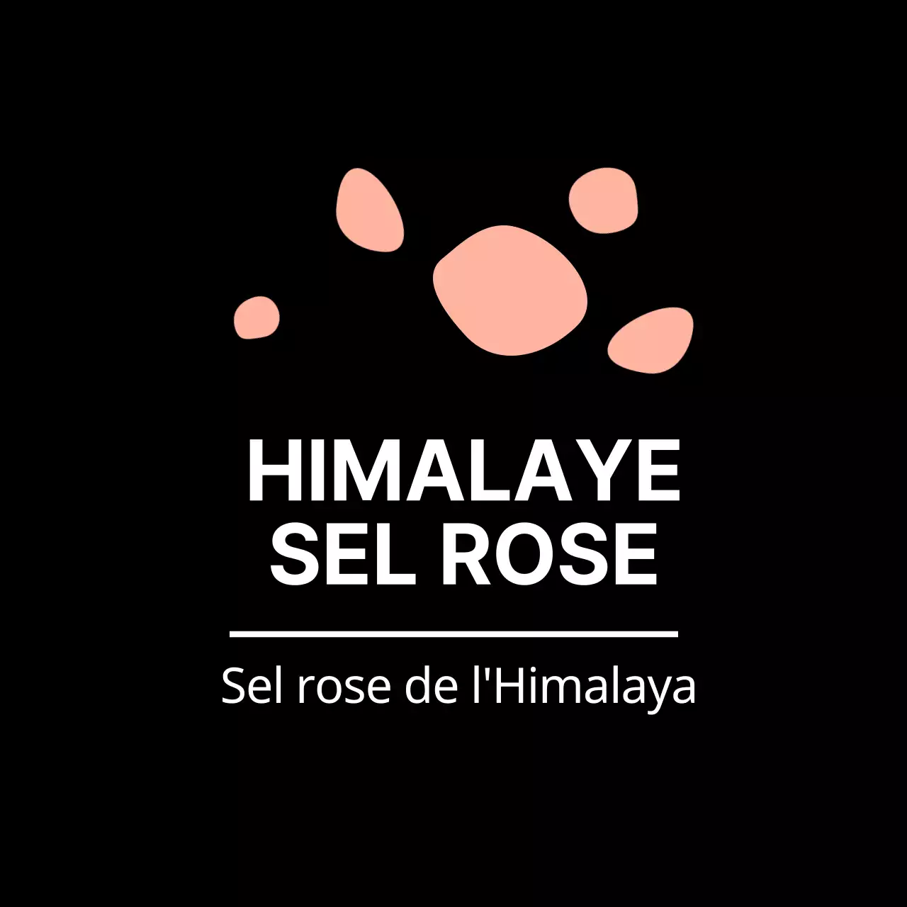 Sel rose de l'Himalaya autocollant pour étiquettes d'accompagnement simples et noires