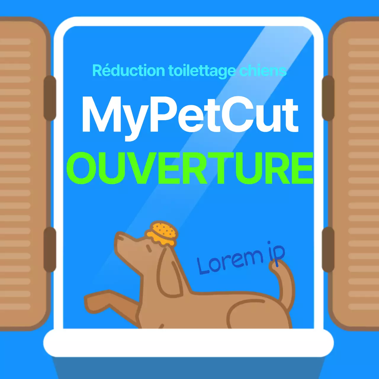 Toilettage des animaux