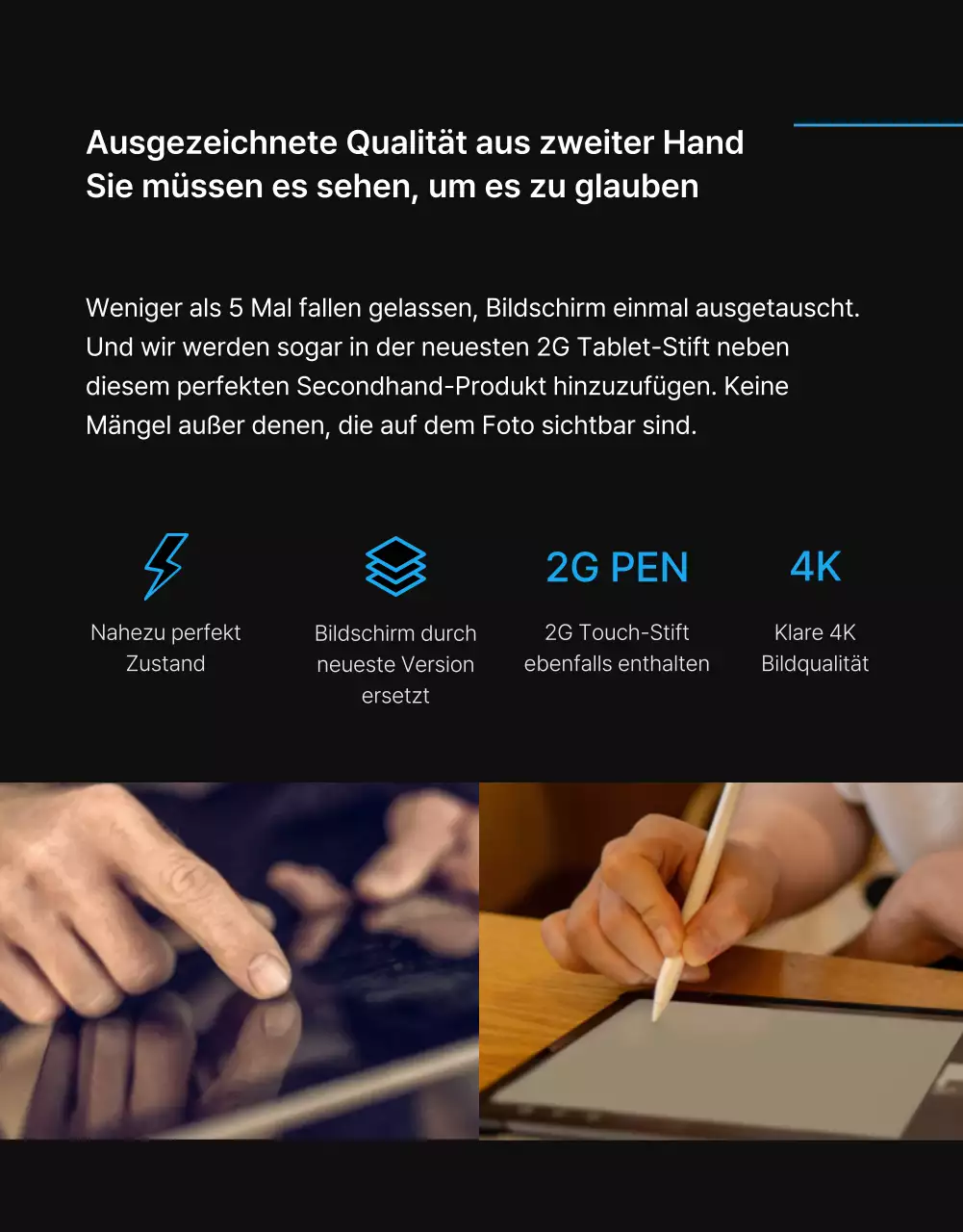 Black Blue Point Einfache und stilvolle Kleinanzeigenseite (Detailseite)