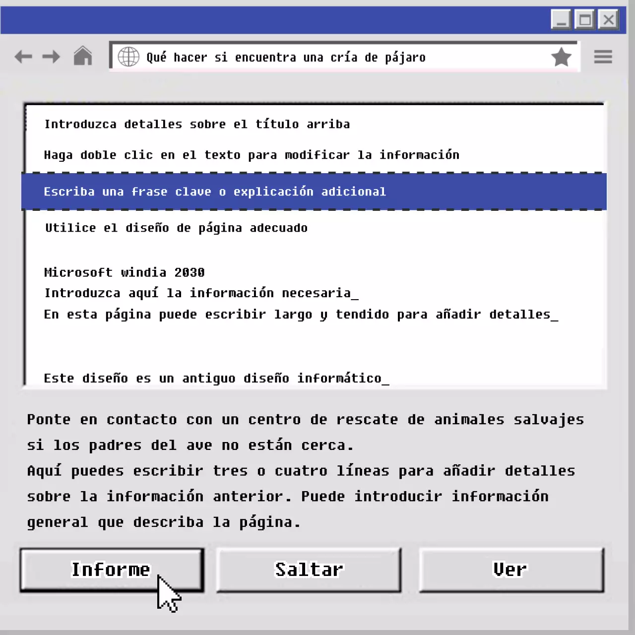 El viejo pajarito azul y gris CardNews