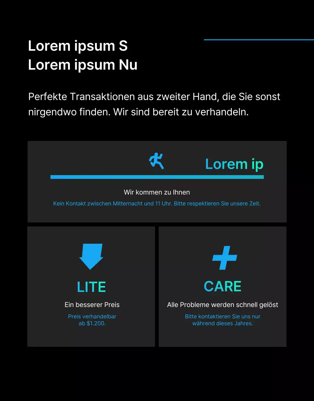 Black Blue Point Einfache und stilvolle Kleinanzeigenseite (Detailseite)