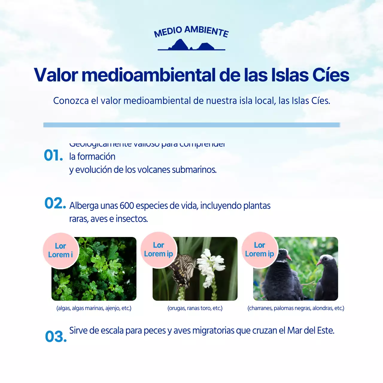 El equipo de divulgación universitaria de Dokdo en azul claro y azul marino