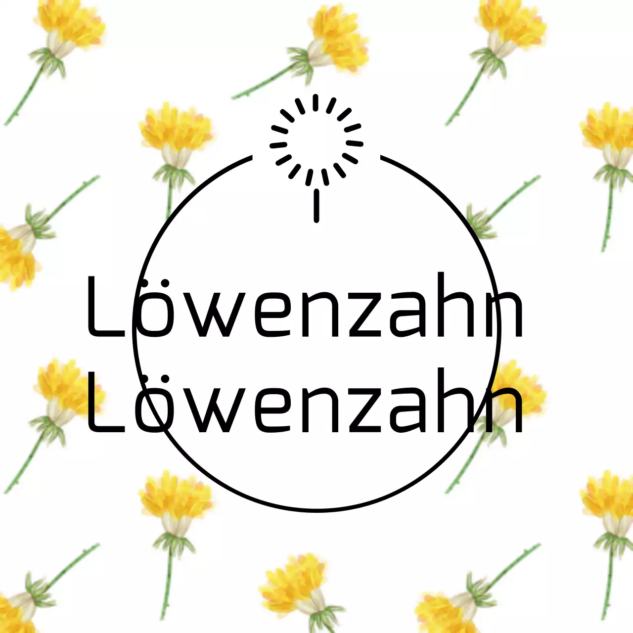 Löwenzahn-Lilie