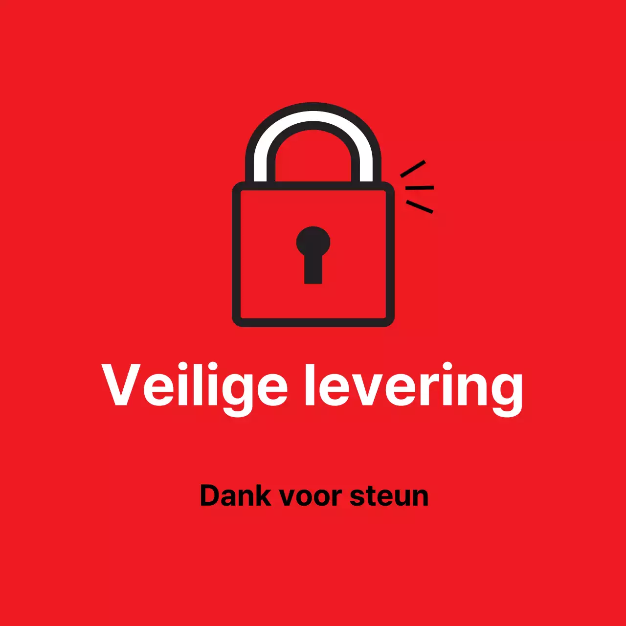 45212/Veiligde levering