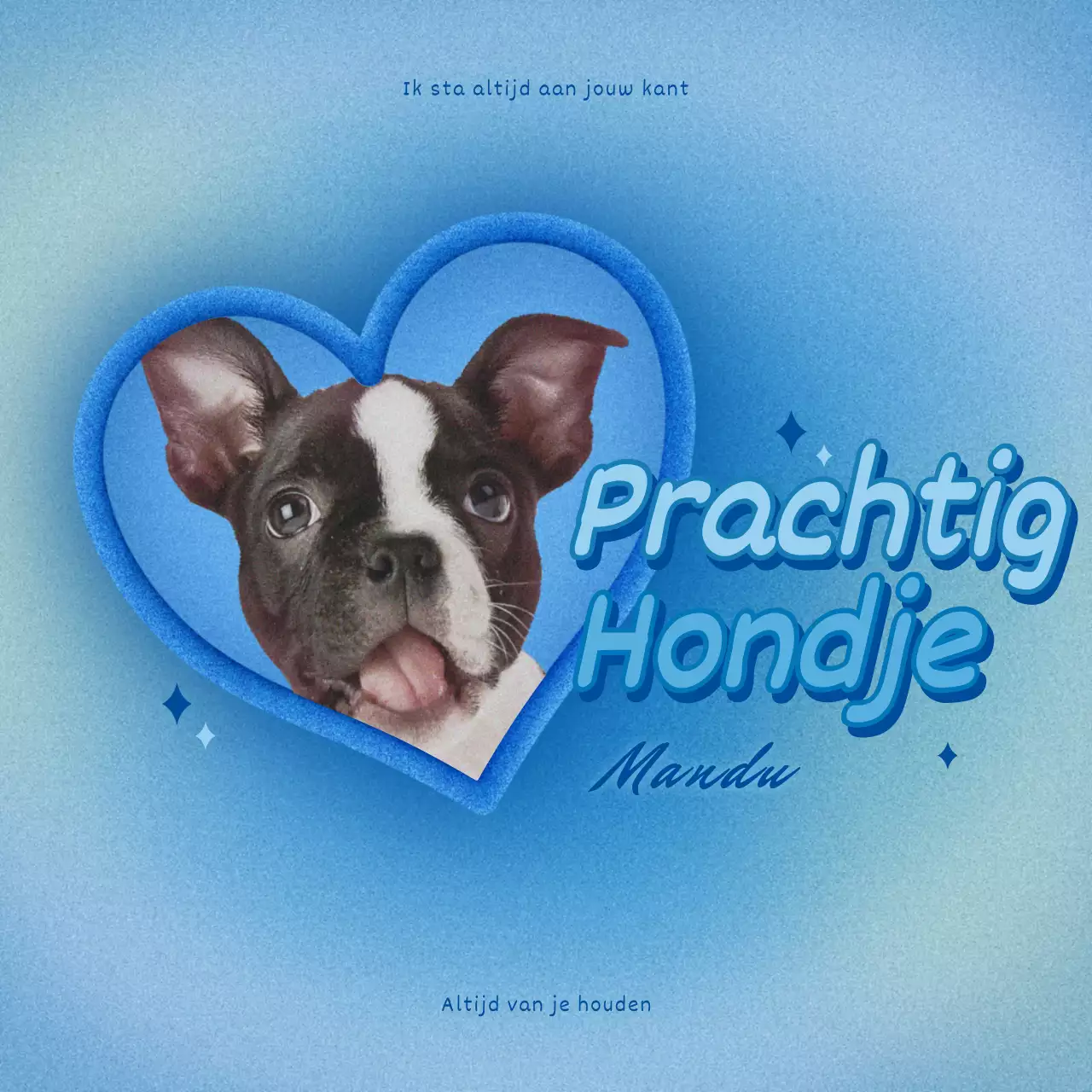 Hart Frame Y2K Kitsch Concept Bundel Paars en Blauw