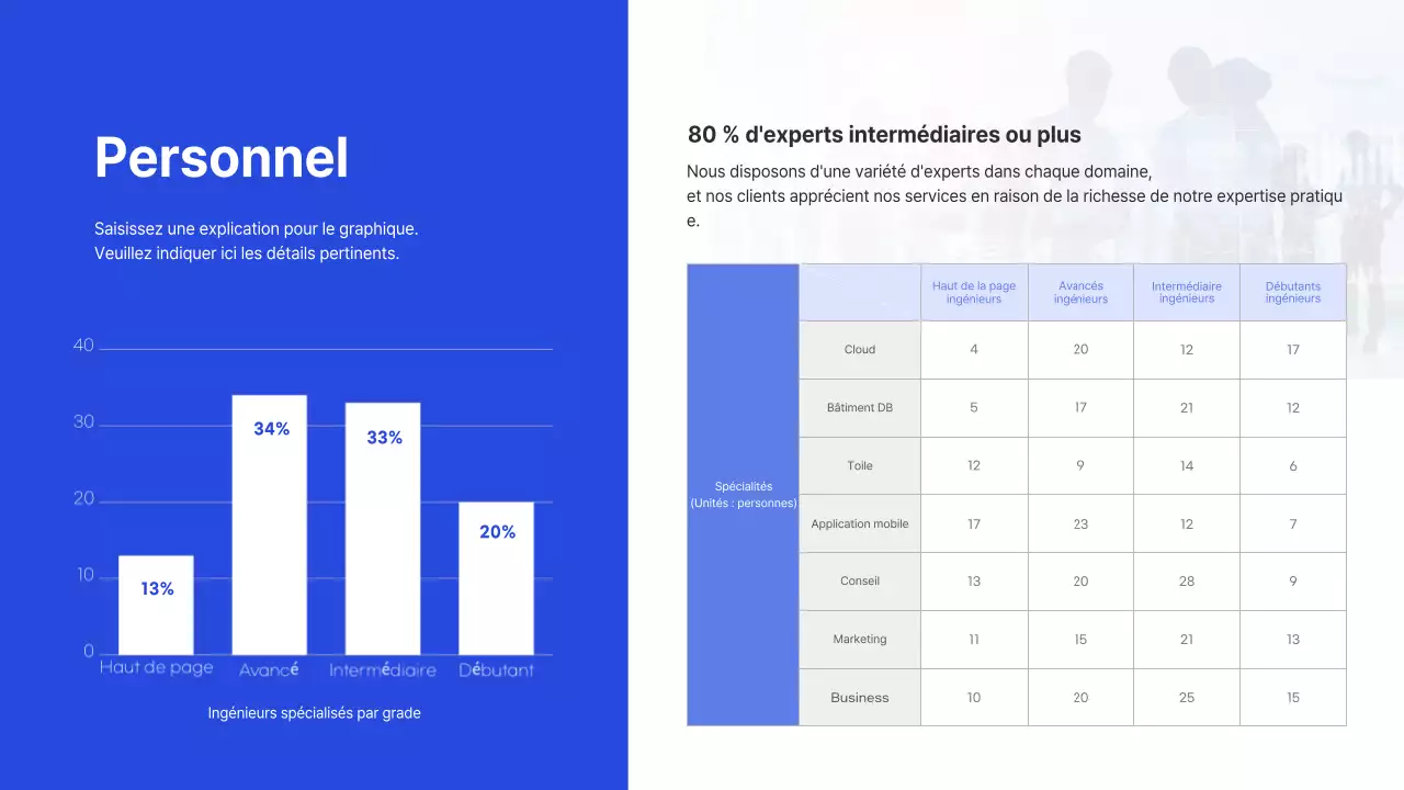 Profil de l'entreprise informatique en bleu (présentation)