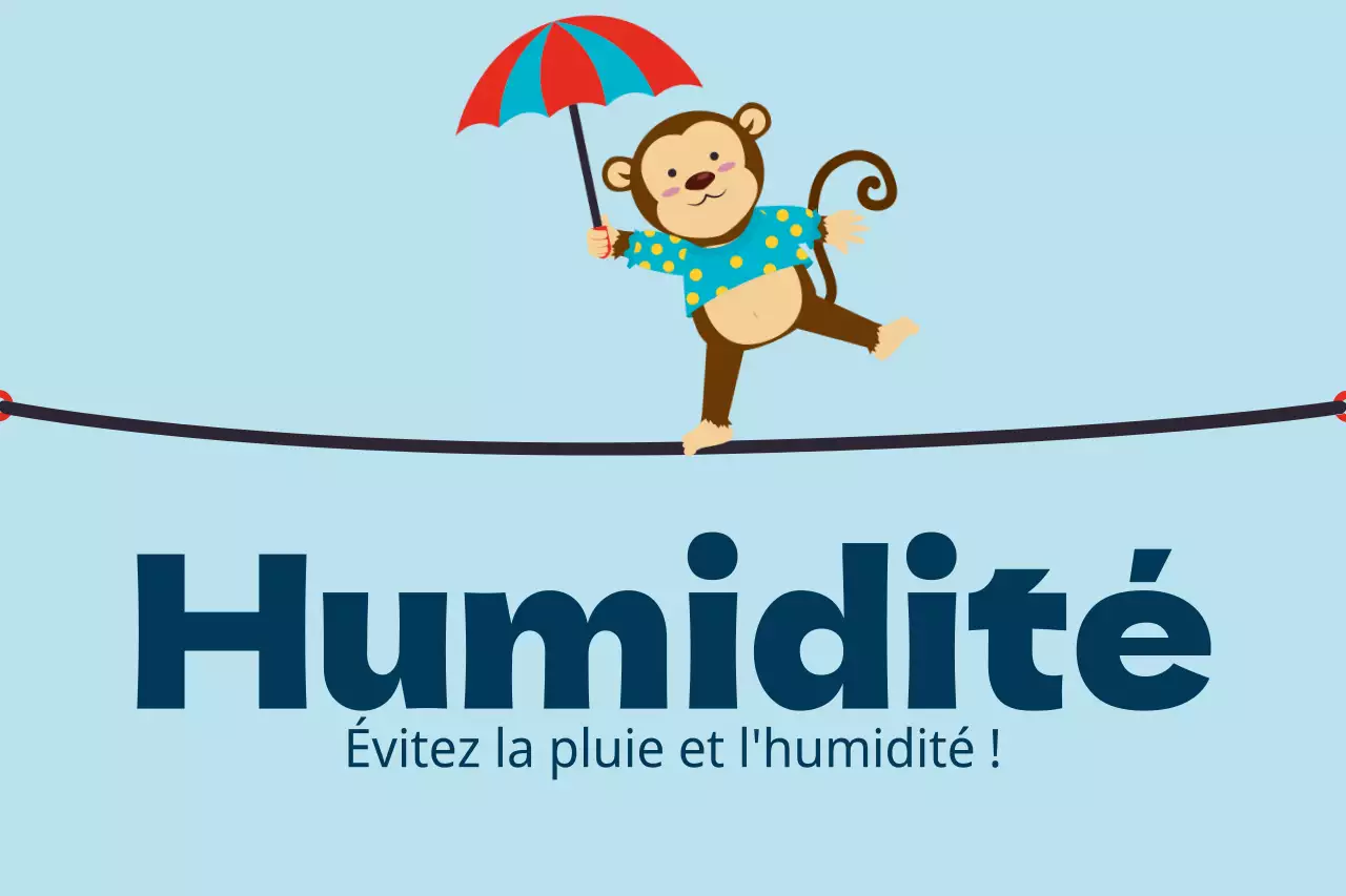 L'humidité