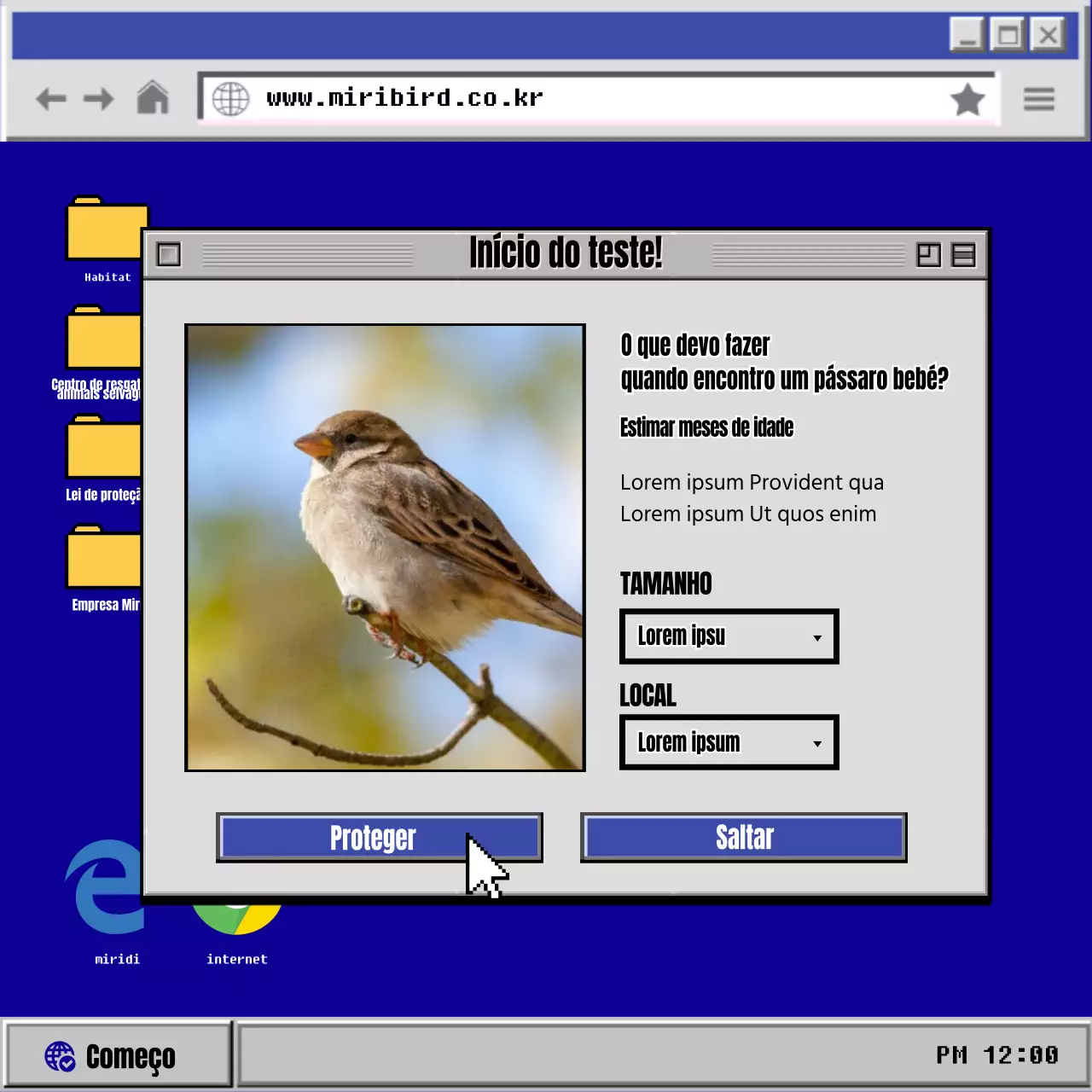 O velho pássaro bebé azul e cinzento do computador CardNews