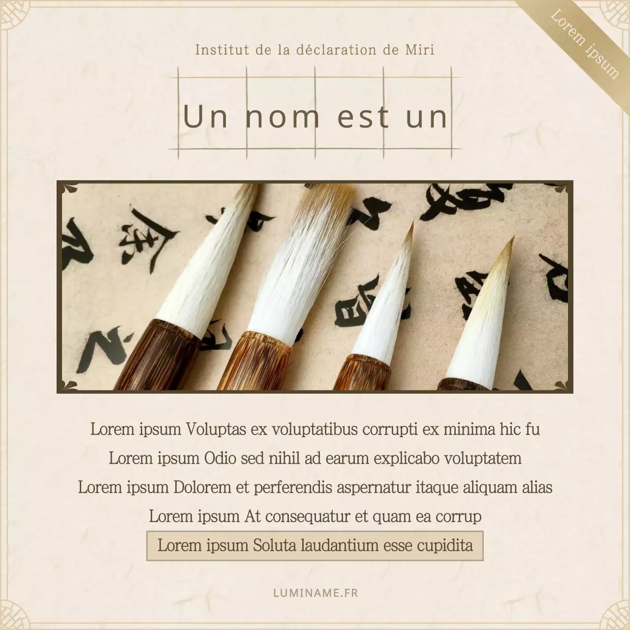 Une histoire de statementologie professionnelle noire et brune