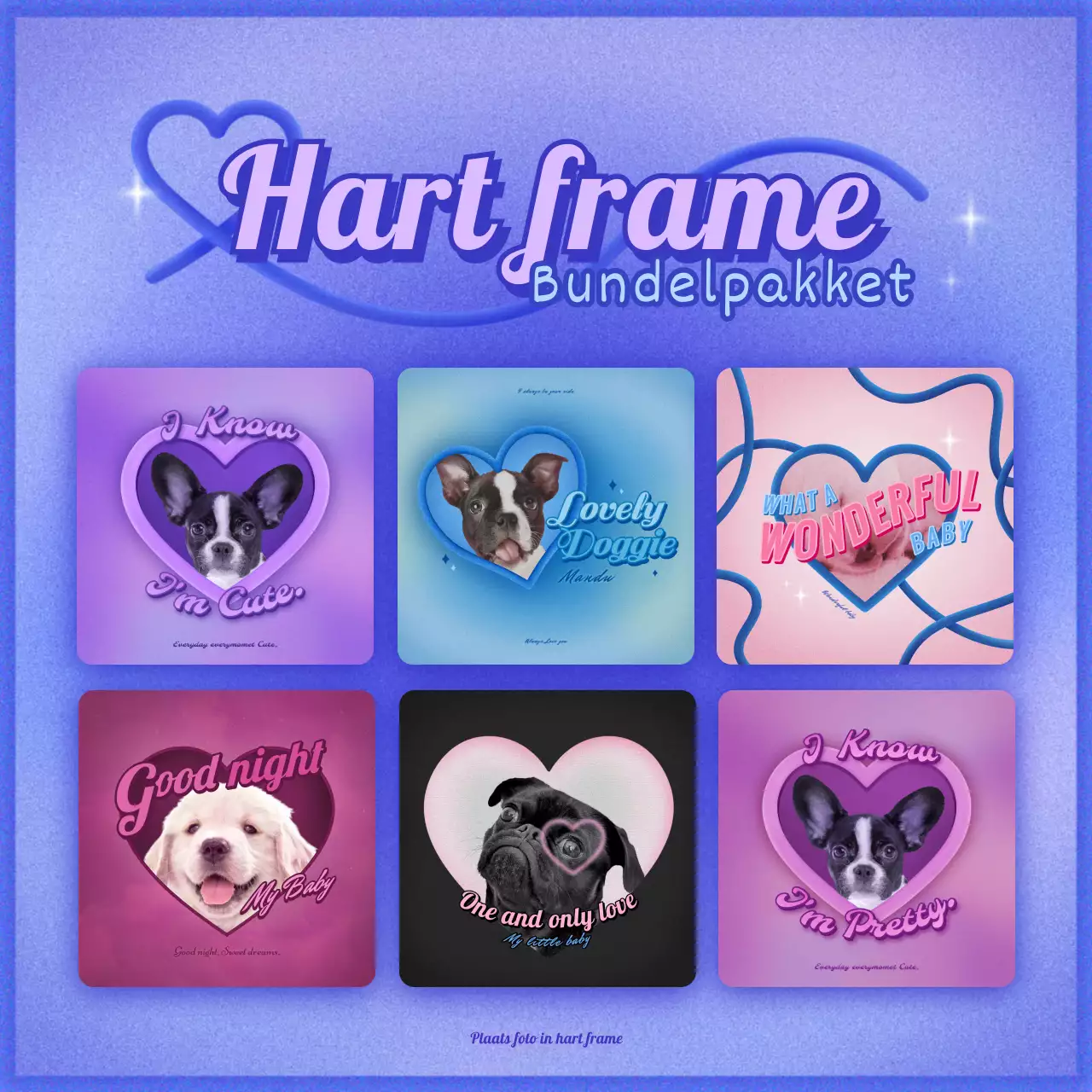 Hart Frame Y2K Kitsch Concept Bundel Paars en Blauw