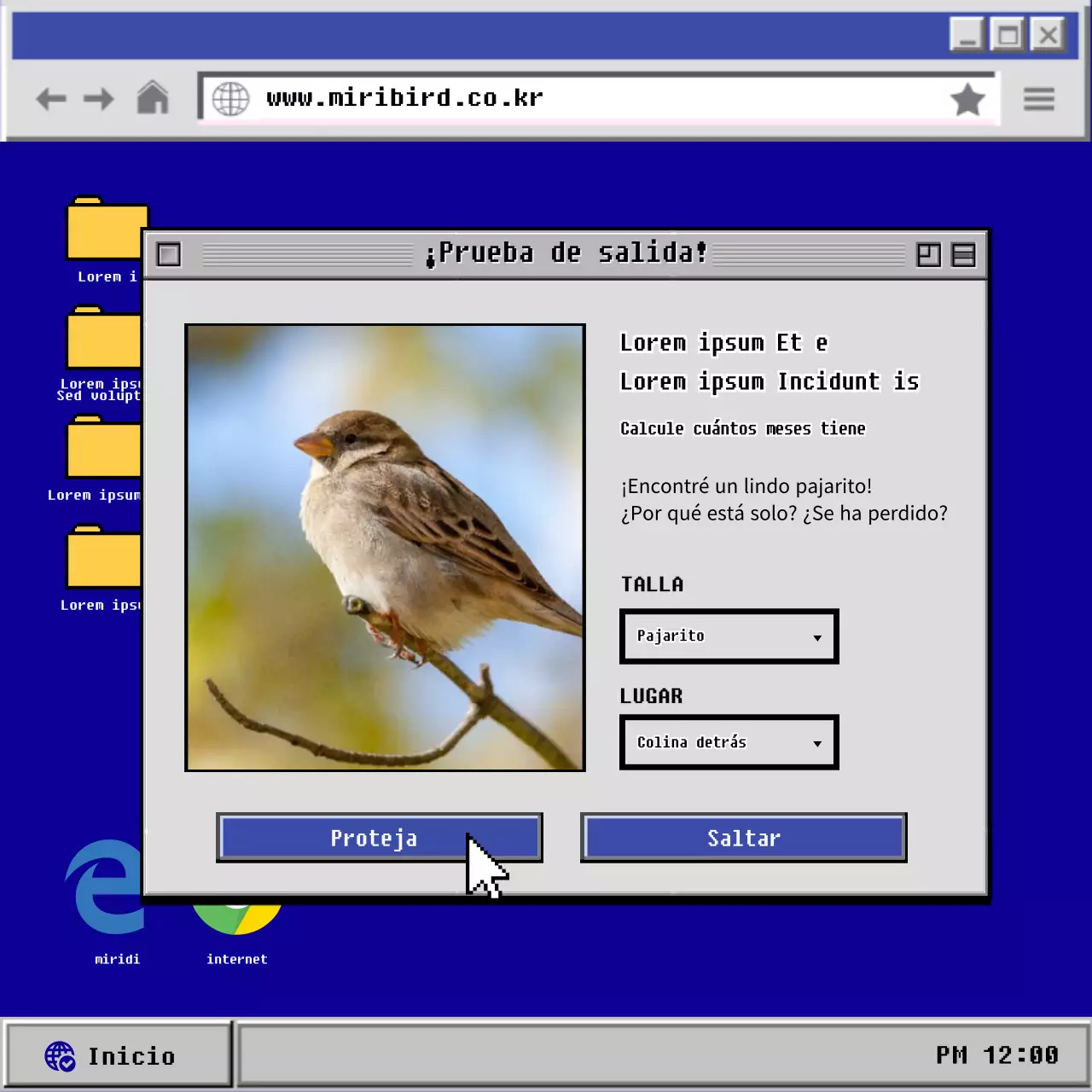 El viejo pajarito azul y gris CardNews