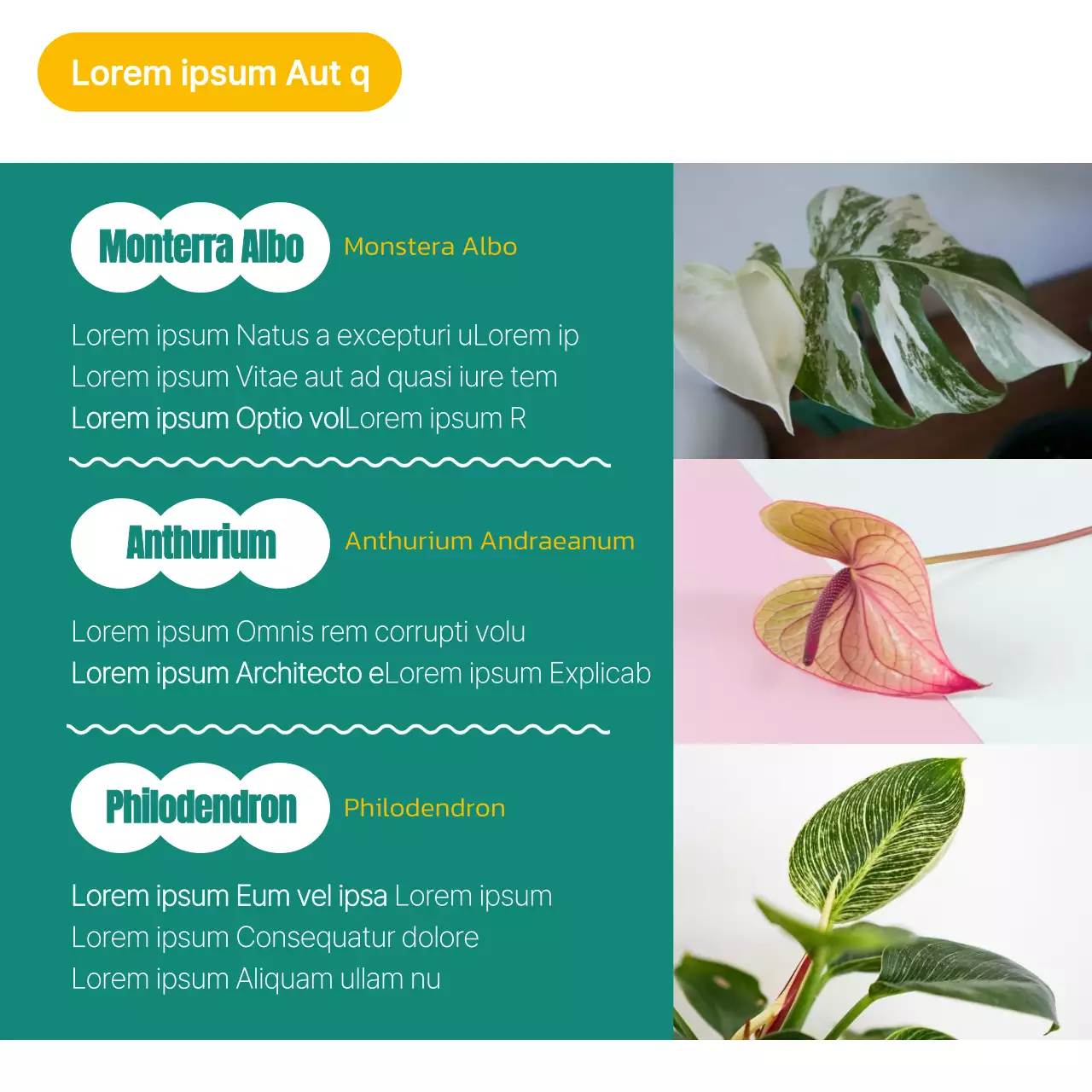 Bunte Vorschläge zur Lebensmitteltechnologie