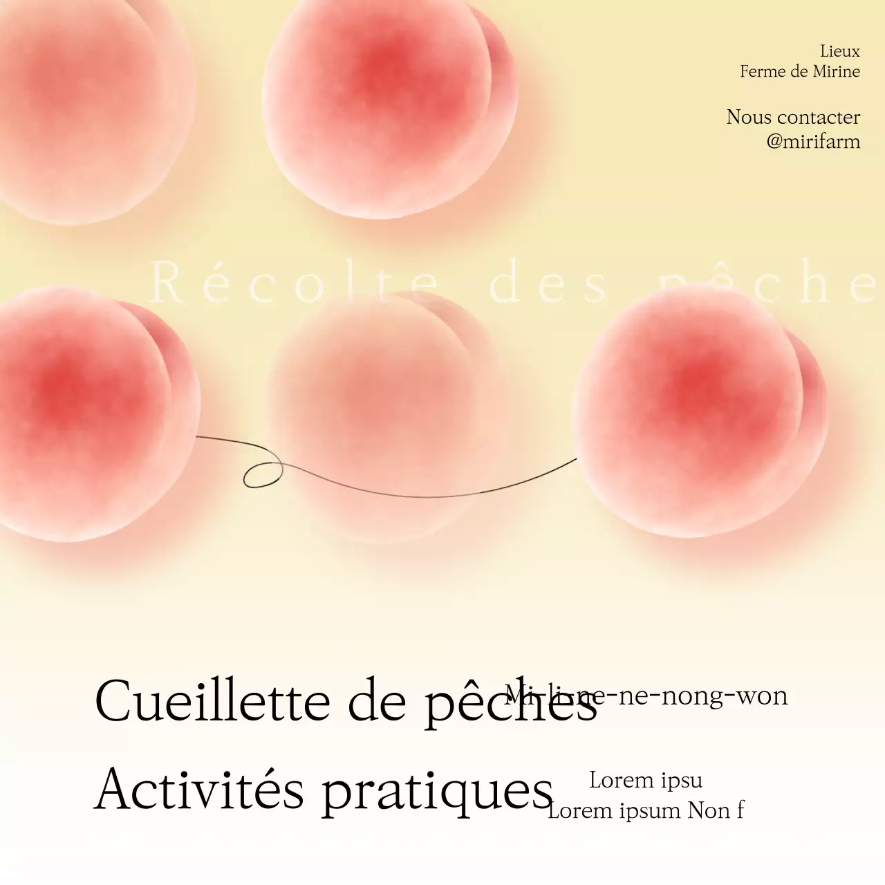 Activité gradient rose pêche pastel