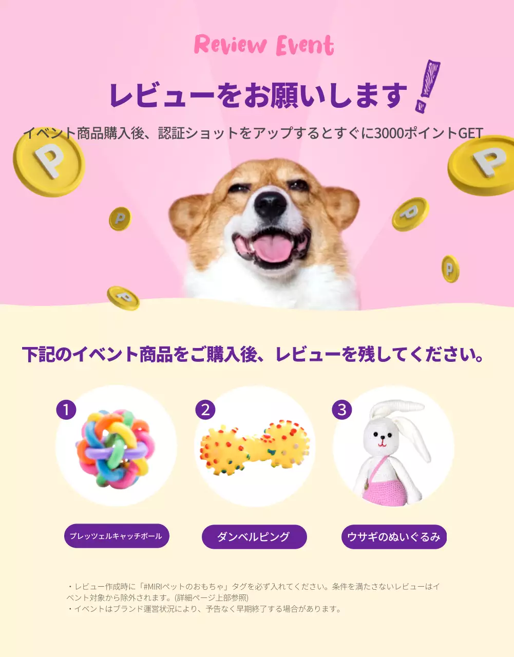 カラフル 楽しい ペット パンフレット 詳細ページ