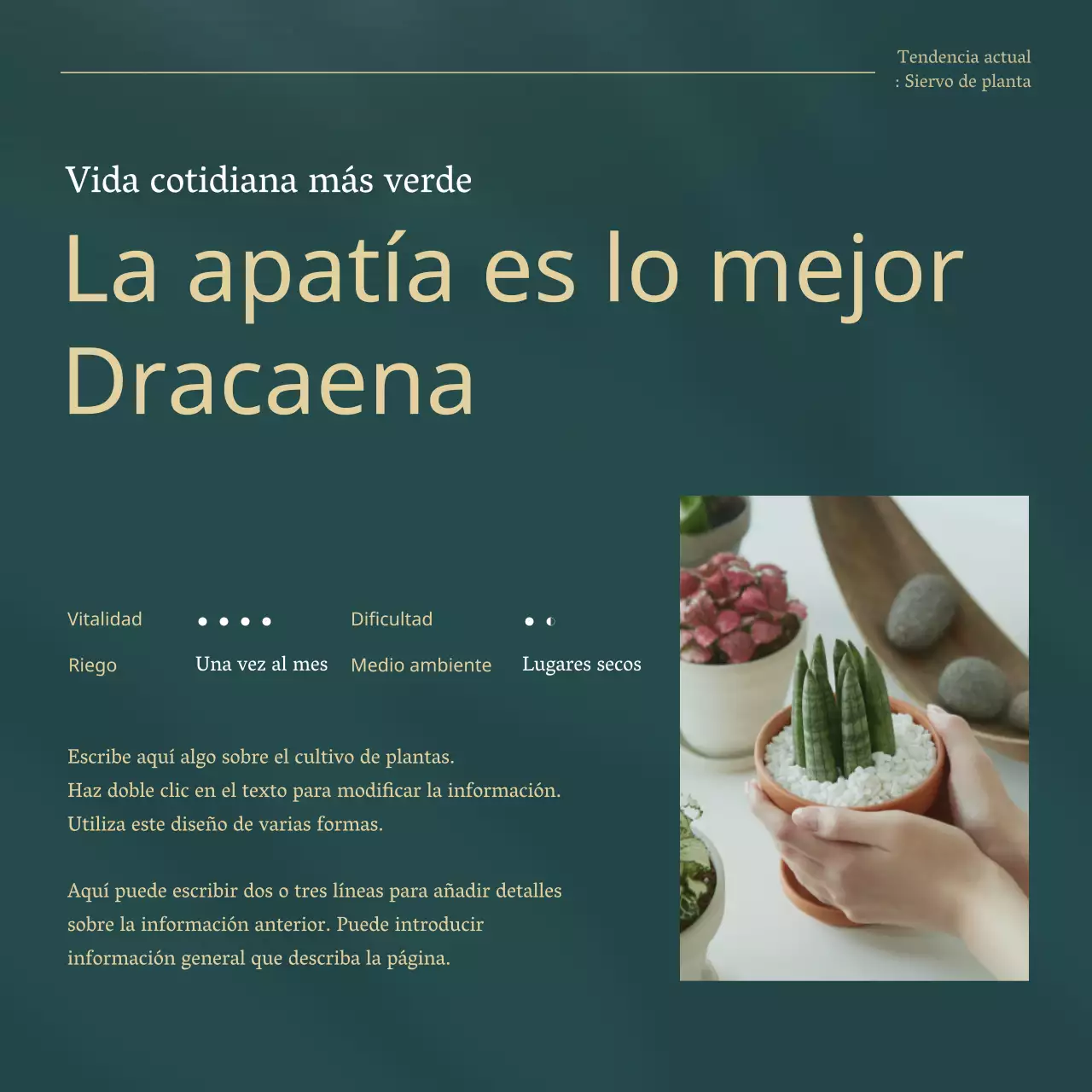 Explicación de las plantas verdes y doradas para mascotas