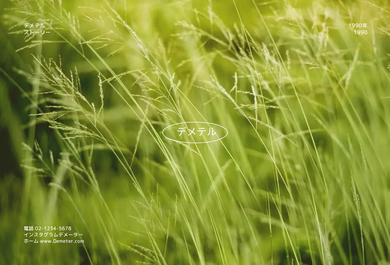 シンプルな写真背景のポストカード