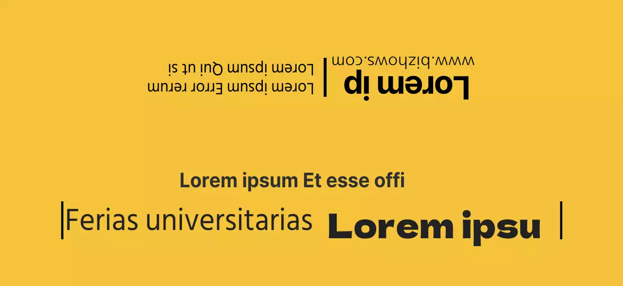 Escuela Exploratoria Universitaria Amarilla y Negra