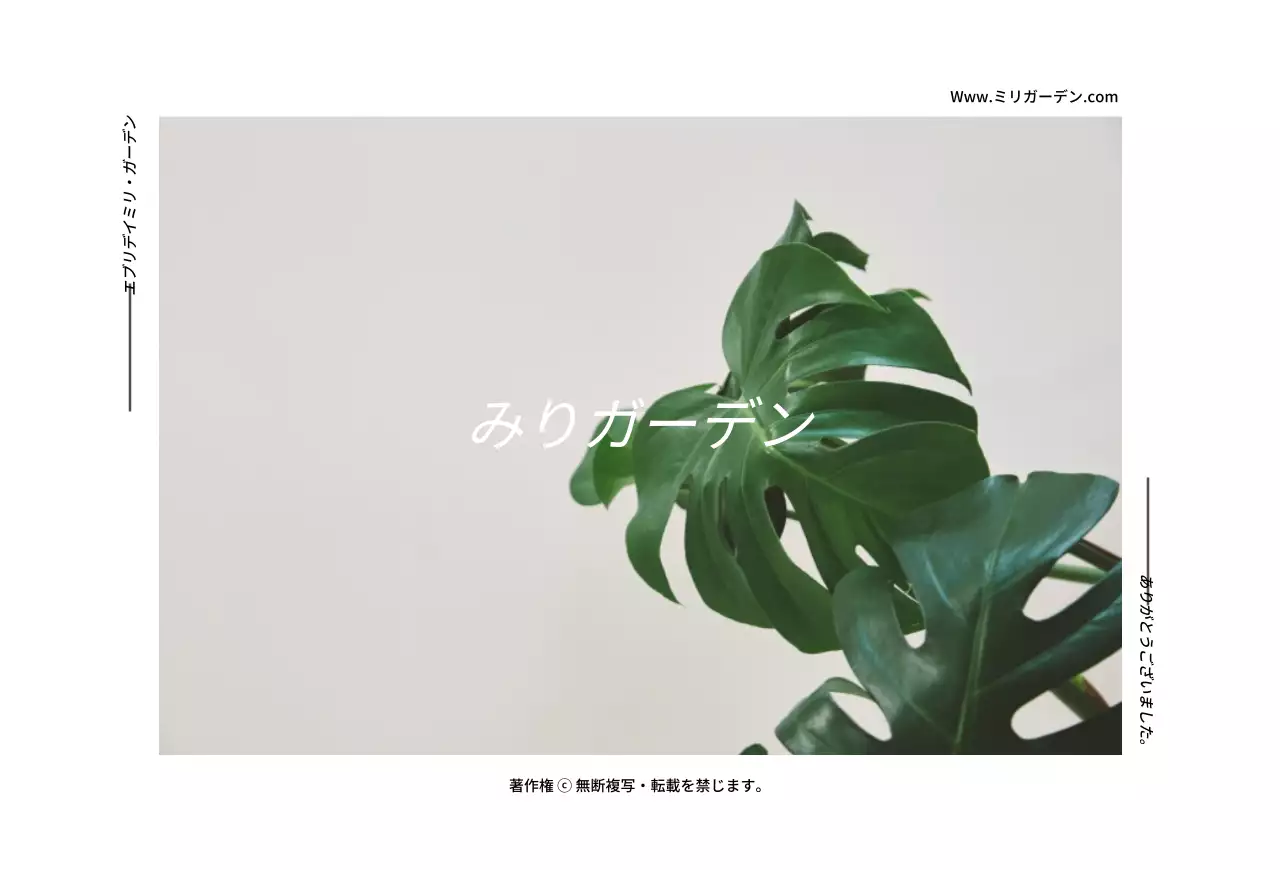 植物をコンセプトにしたインテリアショッピングモール交換可能なプリペイドカードはがき