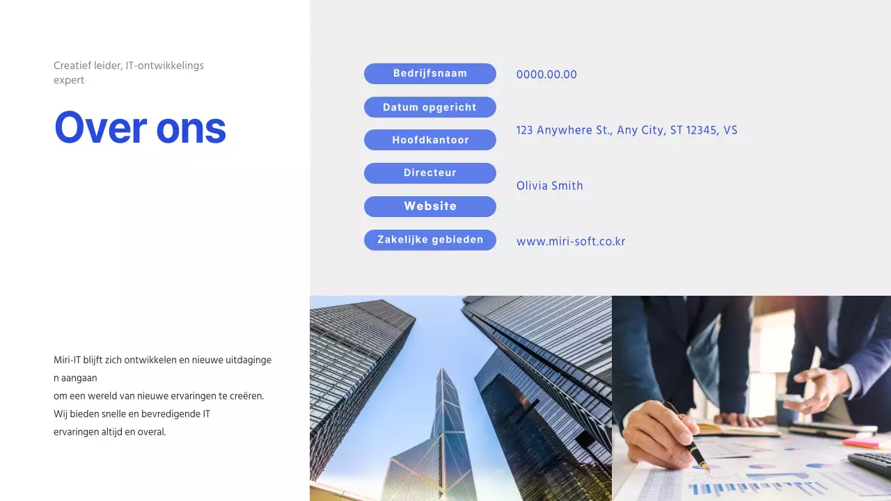 Bedrijfsprofiel IT-bedrijf in blauw (presentatie)