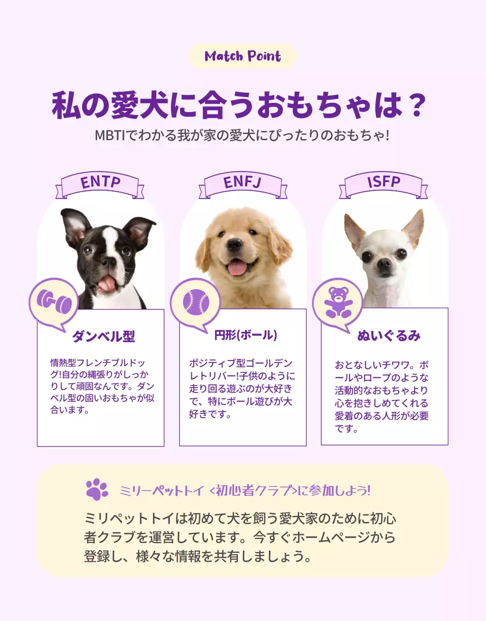 カラフル 楽しい ペット パンフレット 詳細ページ