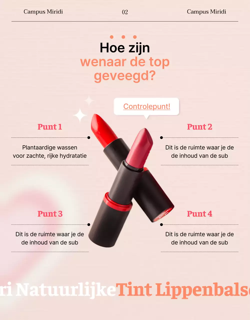 Beauty lanceerpagina met roze en Instagram concept lippenstift modellen