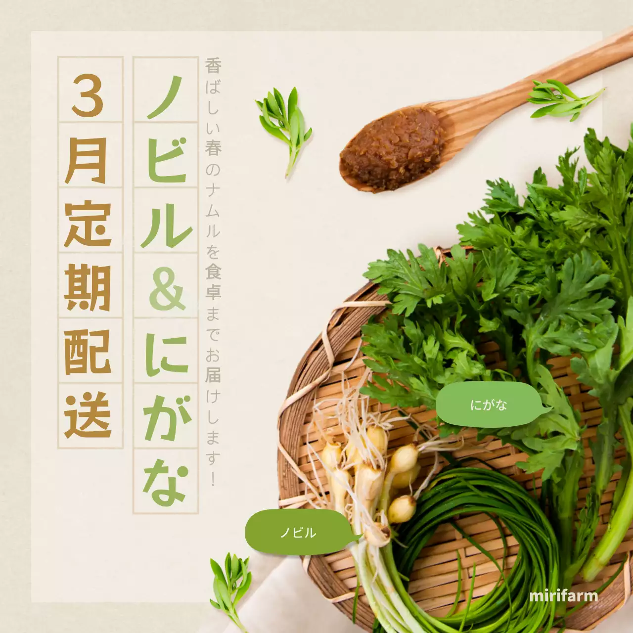 緑 シンプル 食品 お知らせ SNS投稿 正方形