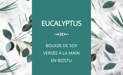 Eucalyptus