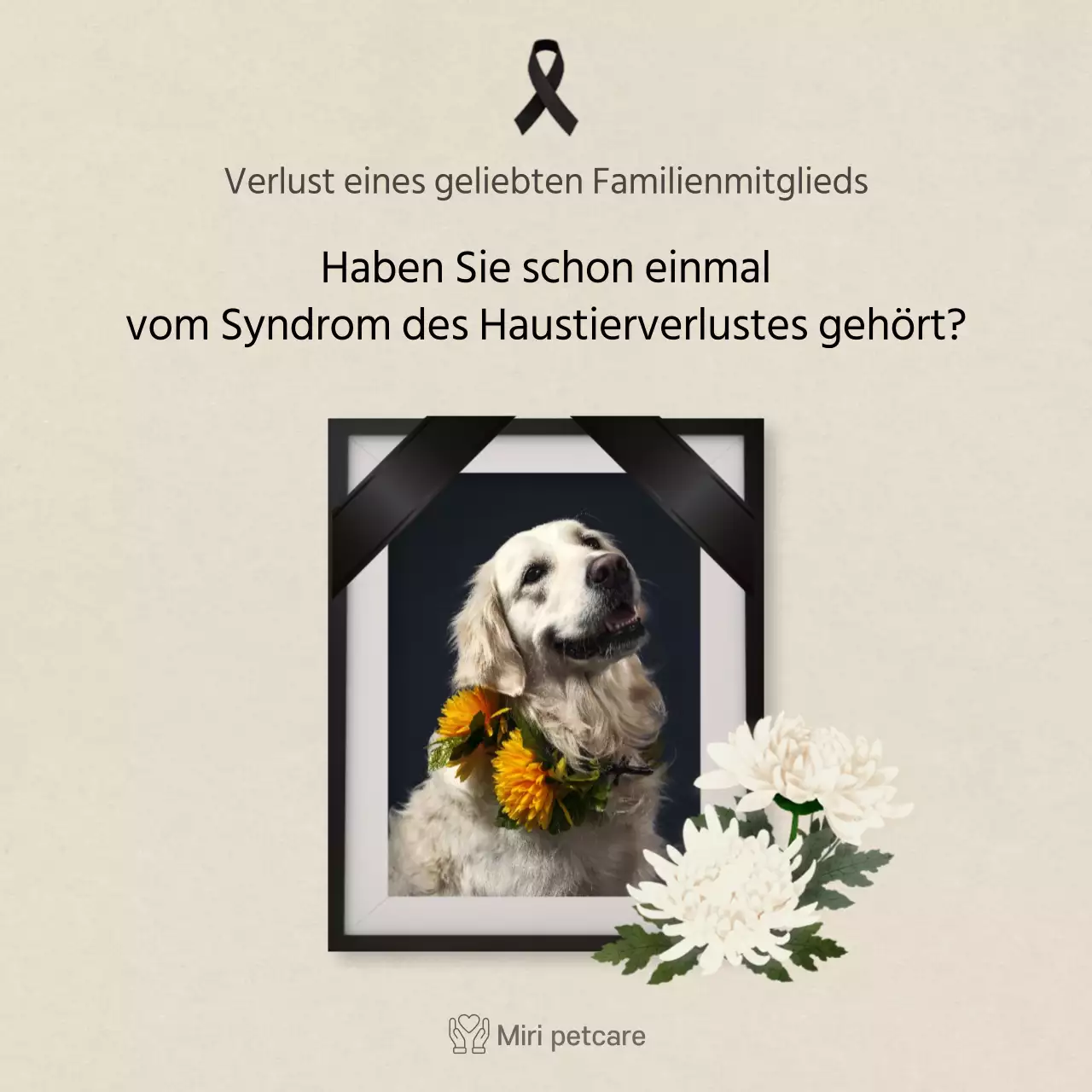 Sauberer Text in ElfenbeinKarten für HaustiereNews