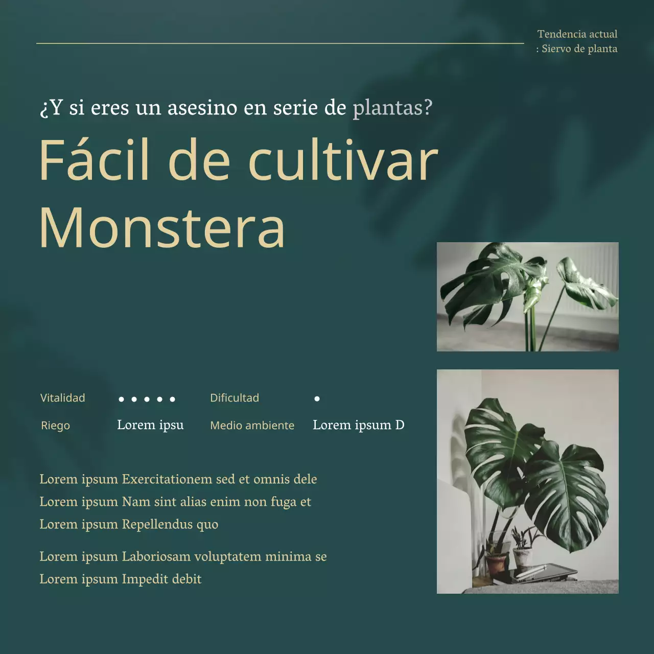 Explicación de las plantas verdes y doradas para mascotas